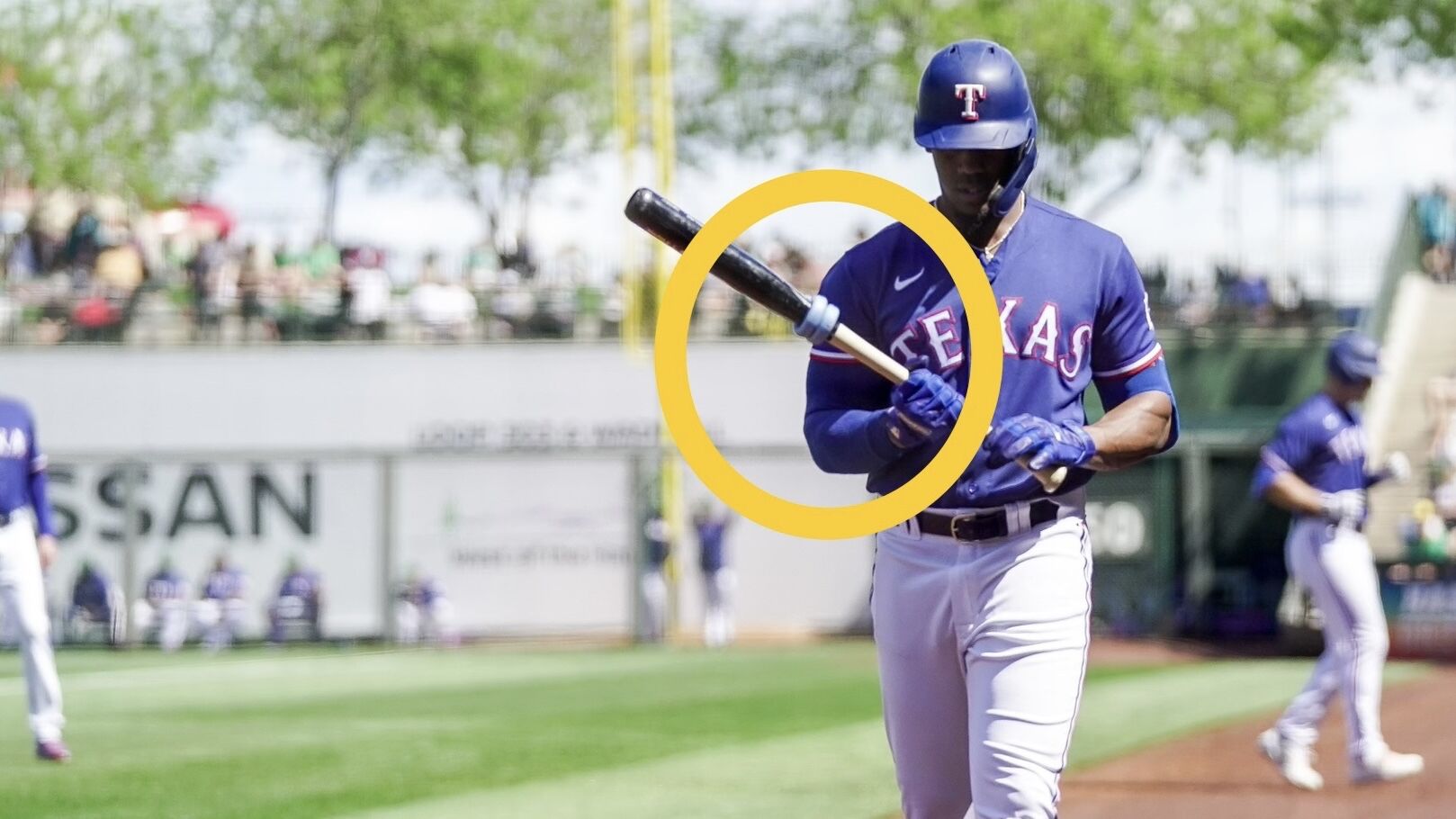 Baseball & Softball Bat Laces